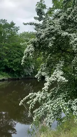 Revamp Urban Spaces with River-First Regeneration Strategies | Populer Platform