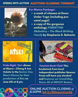 Join Our Silent Auction for Spring Into Action to Support JDI Advocacy | Populer Platform