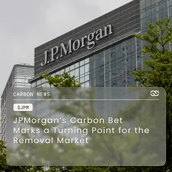 JPMorgan Chase Leads Carbon Removal Shift to Durability and Verification | Populer Platform