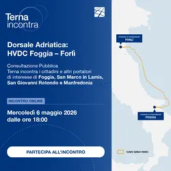 Terna's Online Meeting on Adriatic HVDC Link: Foggia to Forlì | Populer Platform