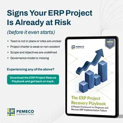 Rescue Your ERP Project: Early Detection and Prevention Strategies | Populer Platform