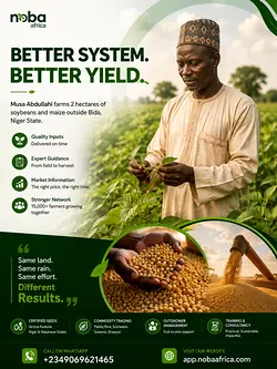 Transforming African Agriculture: NOBA Africa's Impact on Smallholder Farmers | Populer Platform