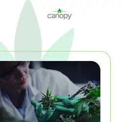 Navigating Compliance in Cannabis Business Growth: Building Strong HR Foundations | Populer Platform