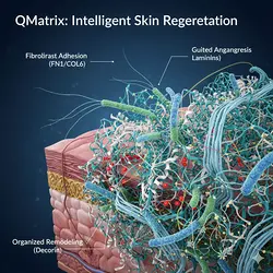 Revolutionizing Regenerative R&D: QMatrix's Human-Like Microenvironment | Populer Platform