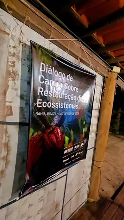 Exploring Native Restoration: Insights from The Forests Dialogue Event | Populer Platform