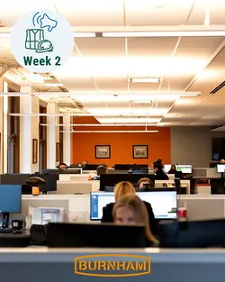 Celebrating Building Safety Professionals This Building Safety Month | Populer Platform
