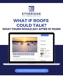 Understanding the Warning Signs of Commercial Flat Roof Damage | Populer Platform