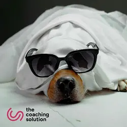Discover Our Extensive Network of Over 200 World-Class Coaches | Populer Platform