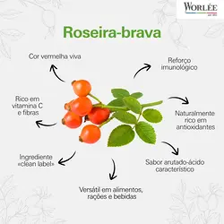 Boost Immunity Naturally with Wild Rose: The Superfood of Autumn | Populer Platform