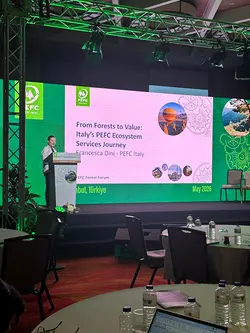 PEFC Italy's Active Role at the PEFC Forest Forum 2026 in Istanbul | Populer Platform