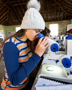 Year 11 and 12 Students Complete Marine Biology Course on Maria Island | Populer Platform