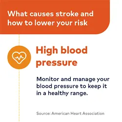 Manage Stroke Risk with Routine Checkups and Healthy Choices | Populer Platform