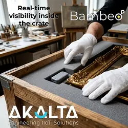 Protecting Museum-Grade Art in Transit with Bambeo IoT Technology | Populer Platform