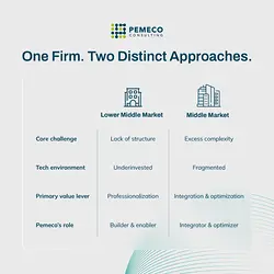 Navigating Diverse Mid-Market Transformations in Private Equity | Populer Platform