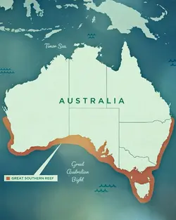 Australia's Underwater Forests Take Center Stage on Gardening Australia | Populer Platform