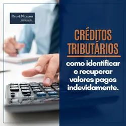 Maximize Your Business's Financial Health with Tax Credit Recovery | Populer Platform