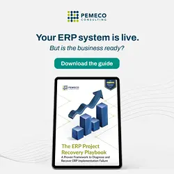 Ensuring ERP System Success Through Early Adoption Planning | Populer Platform