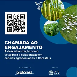 Leading Brazil's Agro-Forestry Decarbonization Initiative: Insetting Strategy | Populer Platform