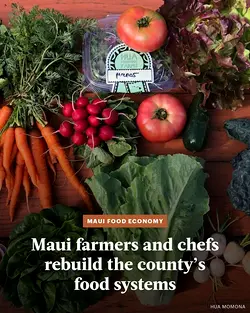 Boost Local Food Production on Maui Amid Disasters: Expert Insights | Populer Platform