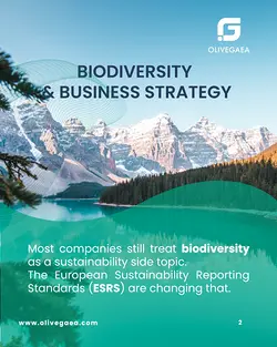 Enhancing Sustainability: Olive Gaea's ZERO Platform for Nature and Biodiversity Risk Management | Populer Platform