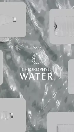 Recycled and Eco-Friendly: The Chlorophyll Water Bottle Innovation | Populer Platform