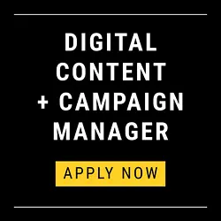 Join WiLL as a Digital Content and Campaign Manager | Populer Platform