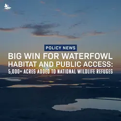New Funding Boosts Wildlife Refuge Expansion in Texas, Virginia, and Illinois | Populer Platform