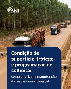 Optimizing Forest Road Maintenance with ANI Sistemas' Estradas Module | Populer Platform