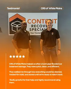 Exceptional Service and Stellar Reviews: White Plains Content Recovery Specialists | Populer Platform