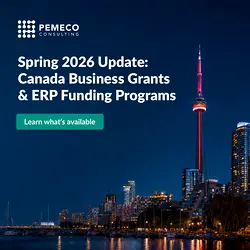 Qualify for Government Funding: Updated ERP and AI Initiatives Resource | Populer Platform