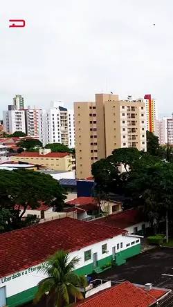Exploring Caravana3D's Impact in Bauru: Investments and Community Benefits | Populer Platform