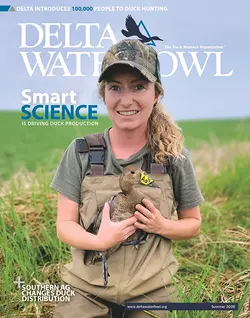 Explore the Science of Waterfowl Survival in Delta's Summer Issue | Populer Platform