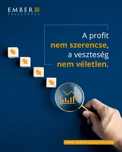 Turning Around a Struggling Company: Lessons from a Hungarian Firm | Populer Platform