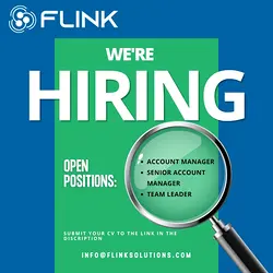 Join FLINK Business Solutions: Exciting Career Opportunities in E-commerce | Populer Platform