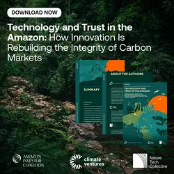 Overcoming Trust Issues in Carbon Markets: Innovations in Amazon Ecosystem | Populer Platform