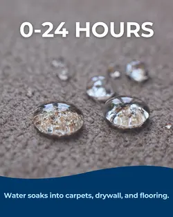 Act Fast: Water Damage Restoration for Effective Home Safety | Populer Platform