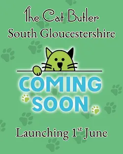 Premium Cat Sitting Service Launching in South Gloucestershire in June 2026 | Populer Platform