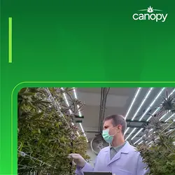 Building Strong Systems for Cannabis Business Growth: Insights from Canopy HR | Populer Platform