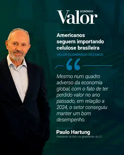 Brazil's Trade Relations and Strong Pulp Exports to the US: Insights from Valor Econômico | Populer Platform