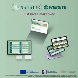 Discover the Revamped NATALIE Website: Now Easier Than Ever to Explore | Populer Platform