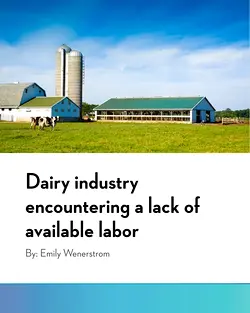 US Dairy Industry Faces Labor Shortage Despite Efficiency Gains | Populer Platform