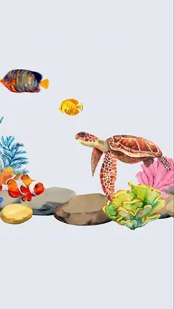 Qantas' New Airbus A321XLR 'Coral Sea' Celebrates Great Barrier Reef | Populer Platform