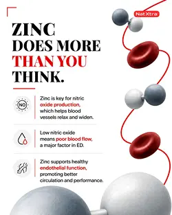 The Multifaceted Benefits of Zinc for Long-Term Wellness | Populer Platform