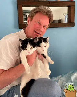 Choosing The Cat Butler Franchise: A Smart Business Decision | Populer Platform