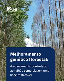 Organizing Forest Genetic Improvement Data: ANI Sistemas' Solution | Populer Platform