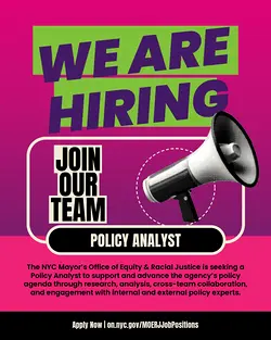 Join the NYC Mayor's Office: Policy Analyst Opportunity for Equity-Driven Change | Populer Platform