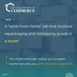 Warning: The Work-From-Home Repackaging Scam Exposed | Populer Platform