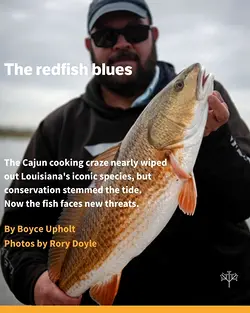 The Future of Cajun Blackened Redfish: A Threatened Louisiana Signature Dish | Populer Platform