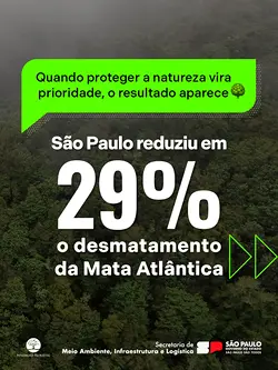 São Paulo Reduces Atlantic Forest Deforestation by 29%: A Success Story in Environmental Preservation | Populer Platform