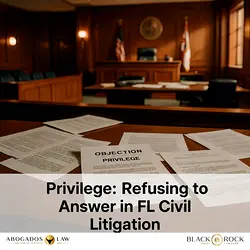 Mastering Florida Civil Litigation Privileges: Legal Insights and Best Practices | Populer Platform